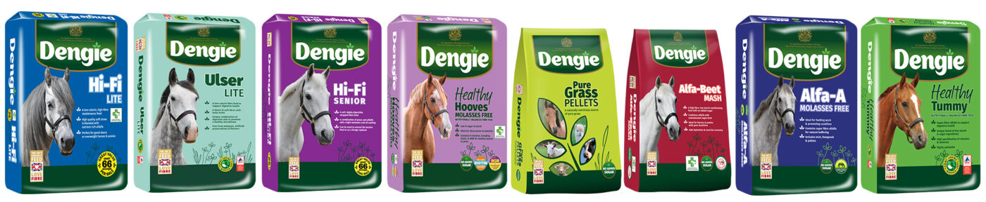 Dengie Feeds for Veteran Horses