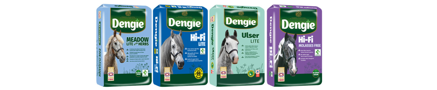 Dengie Feeds for Good Doers prone to ulcers