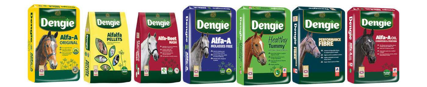 Dengie Feeds for the Performance Horse