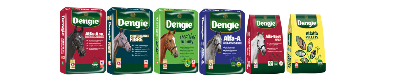 Dengie Feeds for Poor Doers prone to ulcers