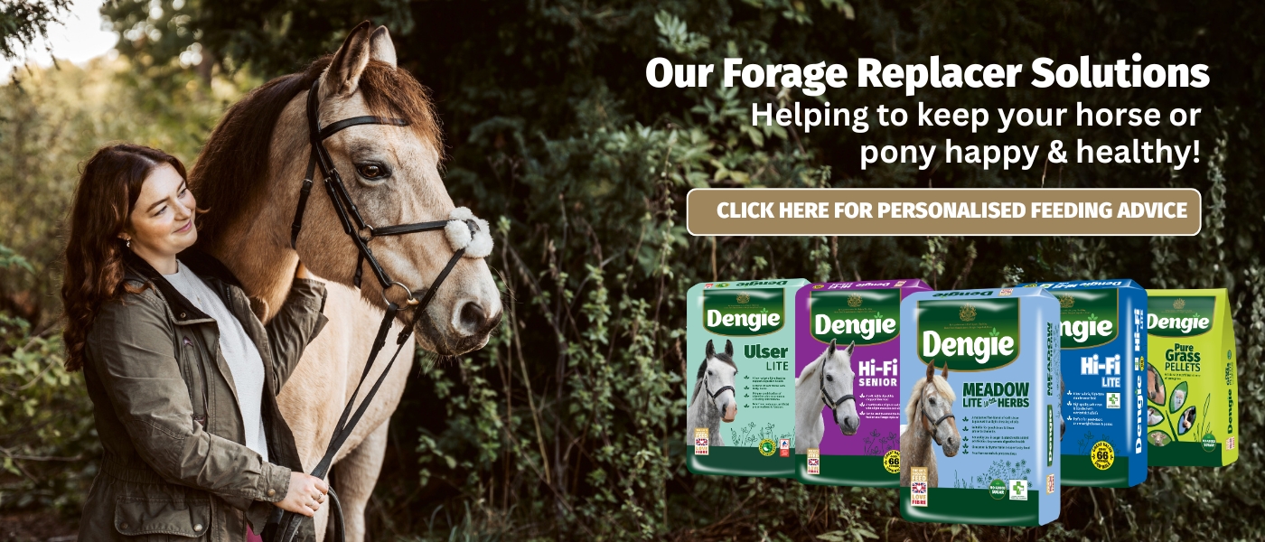 Forage Replacer Feeds