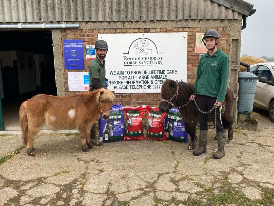 Remus Horse Sanctuary - Winter Feed Donation 2026