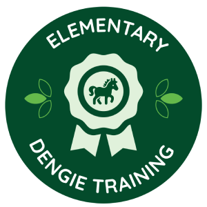 Elementary training badge