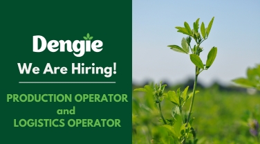 Vacancy banner