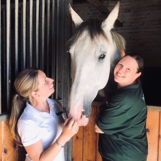 Two females petting a horse