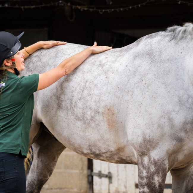 Nutritionist assessing horses topline