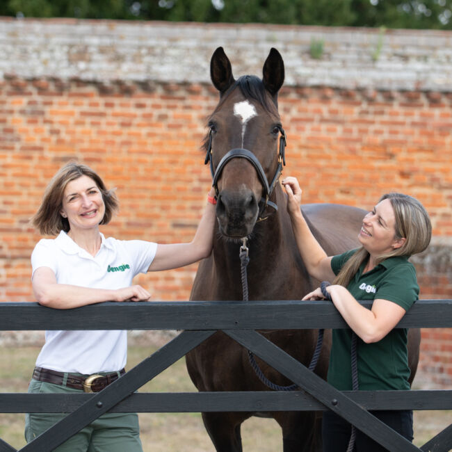 Two females petting a horse