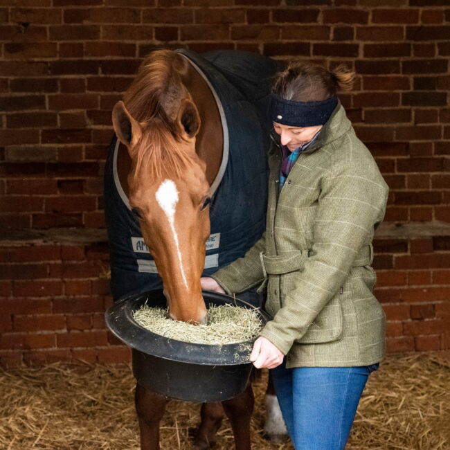 Lady feeding horse in stable
