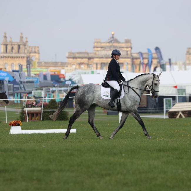 Horse and Rider competing at Blenheim ROR