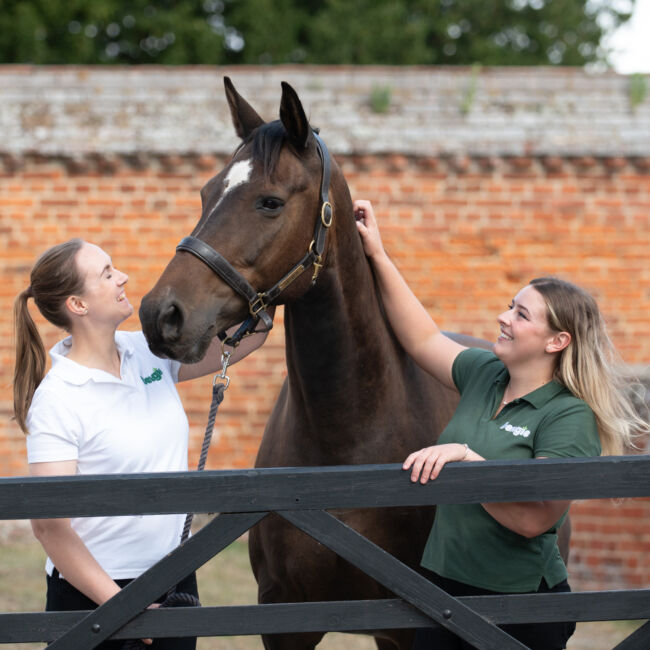 Two females petting a horse